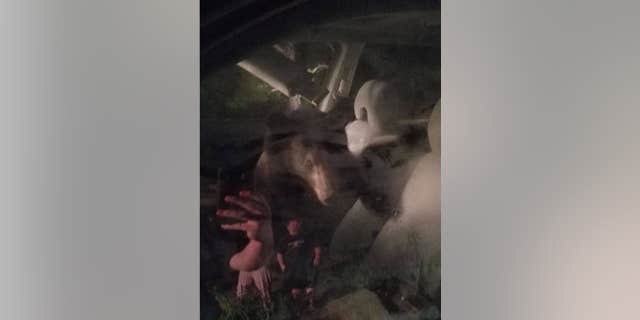 Roanoke County Police Department found the bear inside the vehicle about 5 a.m. last Thursday. (Roanoke County Police Department)