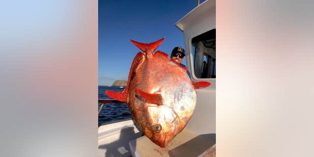 Shawn Steward of Oxnard, Calif., caught a rare 90-pound opah off Southern California.