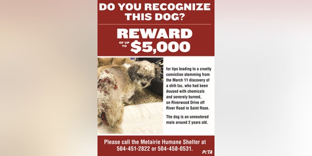 PETA also created a downloadable a flier to be hung around the city, which shows a graphic photo of the unneutered male pup with painful-looking chemical burns along his body.