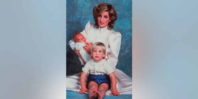 A 1984 file photo of the late Princess Diana with sons Prince William, foreground, and Prince Harry.
