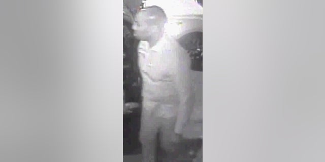 Police said they are looking for the driver who punched Szabo.