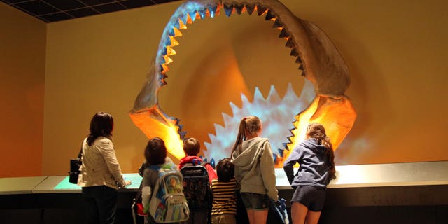 In this March 16, 2011, photo, children look at the shark jaw of a megalodon, a prehistoric shark, at the Museum of Nature and Science in Dallas. The jaw is 11 feet wide and almost 9 feet tall, it consists of 182 teeth collected from South Carolina rivers.