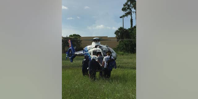 A woman, 71, was bitten several times by a 10-foot alligator in a gated community in Florida, officials said. (San Carlos Park Fire Protection & Rescue Service District)