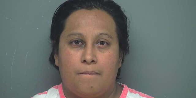 Laura Janeth Garza, a Mexican citizen, pleaded guilty Thursday to voting illegally in the 2016 presidential election.