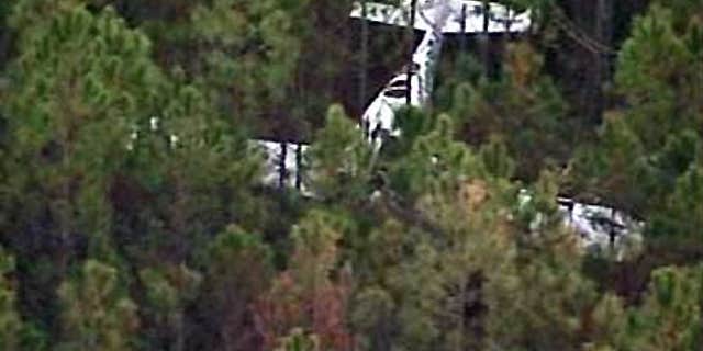 Feb. 18: This aerial image shows the site of a plane crash in Volusia County, Fla.