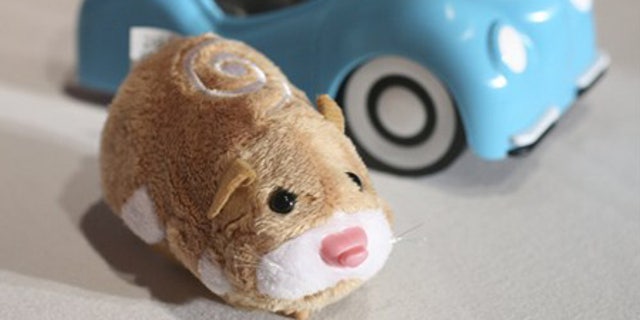 A hamster from Zhu Zhu Pets is seen.