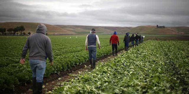 farmers