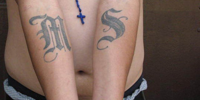 This handout photo provided by US Immigration and Customs Enforcement, taken June 23, 2008 in Washington, shows an example of a tattoo of the gang Mara Salvatrucha (MS-13). The Obama administration has labeled a violent Central American street gang as an international criminal organization subject to U.S. government sanctions, the first time this designation has been given to such a group.  (AP Photo/Michael Johnson, ICE)