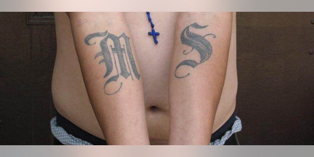 This handout photo provided by US Immigration and Customs Enforcement, taken June 23, 2008 in Washington, shows an example of a tattoo of the gang Mara Salvatrucha (MS-13). The Obama administration has labeled a violent Central American street gang as an international criminal organization subject to U.S. government sanctions, the first time this designation has been given to such a group. (AP Photo/Michael Johnson, ICE)