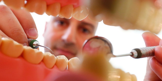 Dentist Sevan Arzuyan poses for an illustration picture with a teeth model at his surgery room in Hanau near Frankfurt, Germany, March 7, 2016. REUTERS/Kai Pfaffenbach - RTSB1YZ