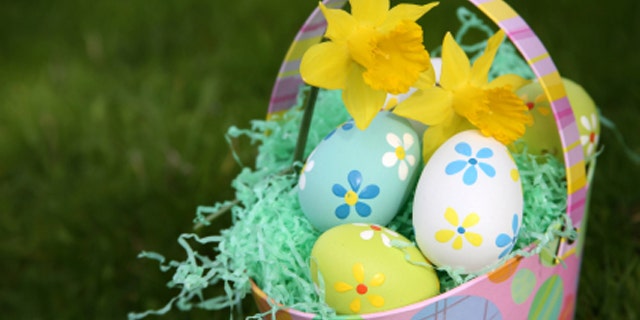 Colorful Easter eggs in basket with daffodils.