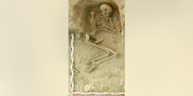 This undated picture provided by the Paliambela Excavation Project Archive, shows a human burial from the archaeological site of Paliambela in northern Greece. Stone Age people from the Aegean region moved into central and southern Europe some 8,000 years ago and introduced agriculture to a continent still dominated at the time by hunter-gatherers, scientists say. The findings were published Monday June 6, 2016 in the Proceedings of the National Academy of Science. (K. Kotsakis, P. Halstead/Paliambela Excavation Project Archive via AP)