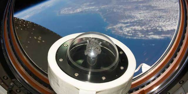 A moon rock brought to Earth by Apollo 11, humans' first landing on the moon in July 1969, is shown as it floats aboard the International Space Station. Part of Earth can be seen through the window.