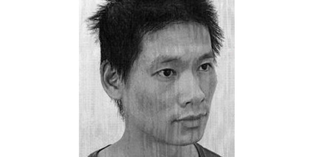 Ming Quang Pham pleaded not guilty Wednesday to charges he conspired with the terrorist group al-Qaeda in the Arabian Peninsula.