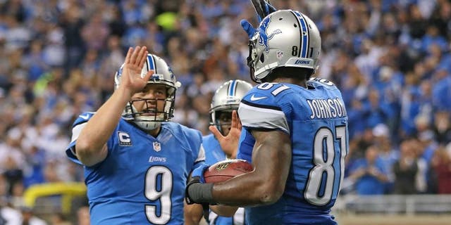 > at Ford Field on October 27, 2013 in Detroit, Michigan.