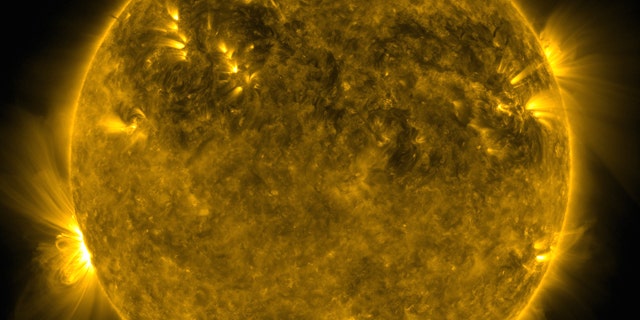 An image of the sun's activity, captured by NASA's Solar Dynamic Observatory, reveals solar prominences on its surface.