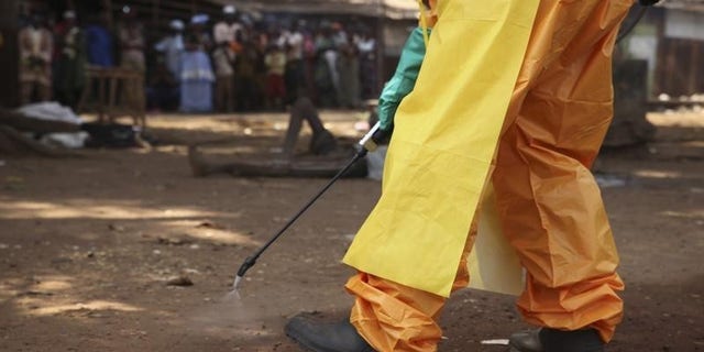 A member of the French Red Cross disinfects the area around a motionless person suspected of carrying the Ebola virus as a crowd gathers in Forecariah January 30, 2015. (REUTERS/MISHA HUSSAIN)