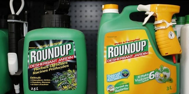 Monsanto's Roundup weedkiller atomizers are displayed for sale at a garden shop at Bonneuil-Sur-Marne near Paris, France, June 16, 2015. REUTERS/Charles Platiau