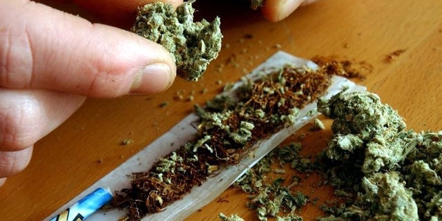 A man makes a cannabis cigarette in the image above.