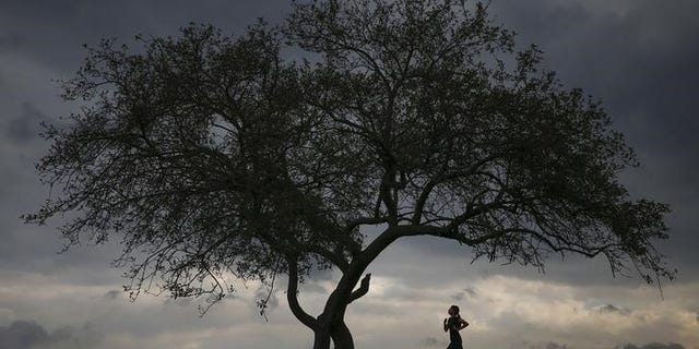 A woman is seen jogging at Cunningham Park in the borough of Queens in New York, September 16, 2014. REUTERS/Shannon Stapleton