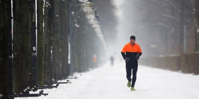 A jogger runs along a snow covered path in Berlin, Germany, January 6, 2016.   REUTERS/Hannibal Hanschke