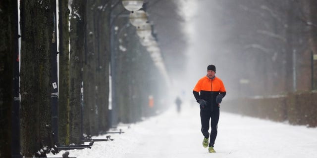 A jogger runs along a snow covered path in Berlin, Germany, January 6, 2016. REUTERS/Hannibal Hanschke