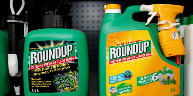 Monsanto's Roundup weedkiller atomizers are displayed for sale at a garden shop at Bonneuil-Sur-Marne near Paris, France, June 16, 2015. REUTERS/Charles Platiau
