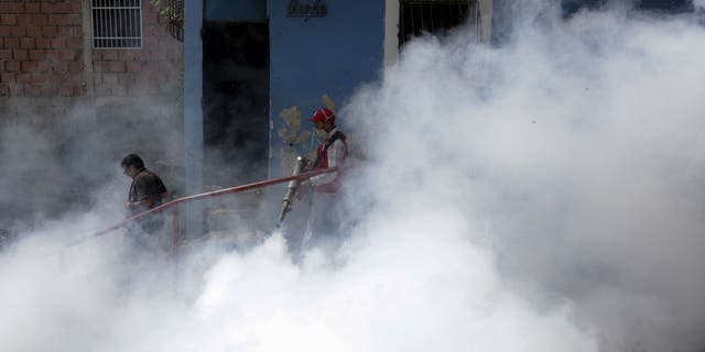 A Venezuelan health worker fumigates the Valle slum to help control the spread of the mosquito-borne Zika virus in Caracas, January 28, 2016. REUTERS/Marco Bello
