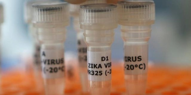 An employee examines tubes with the label 'Zika virus' at Genekam Biotechnology AG in Duisburg