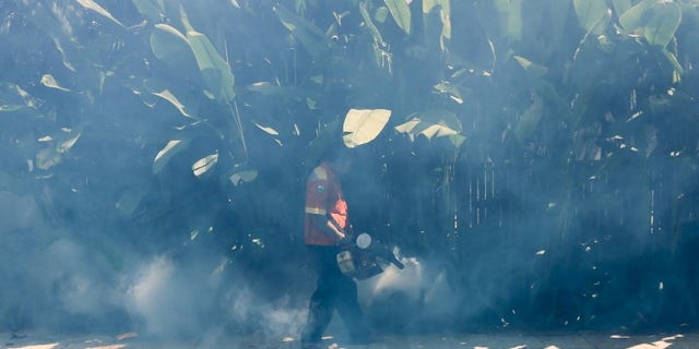 A worker fumigates the area to control the spread of mosquitoes in Bangkok
