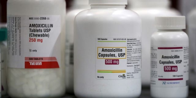 Amoxicillin penicillin antibiotics are seen in the pharmacy at a free medical and dental health clinic in Los Angeles