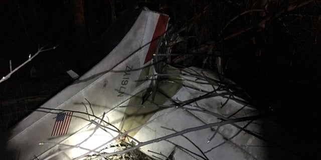 A dog was the only survivor after a plane heading to Maryland crashed Saturday night, killing three people and another dog.