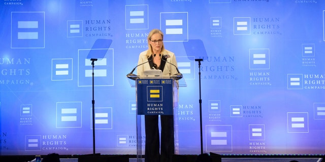 Meryl Streep attends the Human Rights Campaign Greater New York Gala at Waldorf Astoria Hotel on Saturday, Feb. 11, 2017, in New York. (Photo by Christopher Smith/Invision/AP)