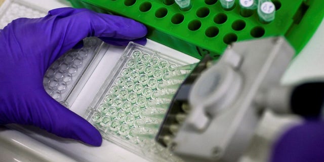 FILE PHOTO: Scientist prepares protein samples for analysis in a lab at the Institute of Cancer Research in Sutton, Britain.