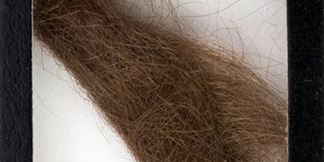 This photo provided by Heritage Auctions shows a 4-inch lock of hair that was collected by a German hairdresser who trimmed John Lennon's hair before he started shooting "How I Won the War." Heritage Auctions says the lock of hair is expected to sell for $10,000 at a Dallas auction later this month. (Heritage Auctions via AP)