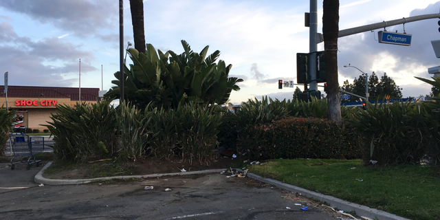 Photo shows the corner parking spot where a van containing the bodies of two adults and two children was found Thursday night in Garden Grove, in Southern California.