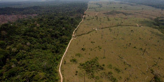 This Sept. 15, 2009 file photo shows a deforested area near Novo Progresso in Brazil's northern state of Para.
