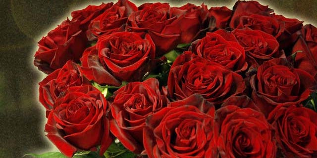 Ein Strauss Rosen stehen am Donnerstag, 14. Februar 2008, im Geschaeft Blumen 31 im Bleibtreu in Berlin. Am Valentinstag sind gerade Rosen sehr gefragt. (AP Photo/Franka Bruns)
---A bouquet of roses is on display in a flower shop in Berlin, Thursday, Feb. 14, 2008. Especially on Valentine's Day, the rose is the favorite flower to pick. (AP Photo/Franka Bruns)