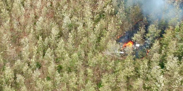 Witnesses said the plane burst into flames after crashing.
