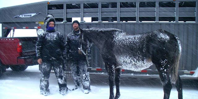 In this December 2016 photo provided by U.S. Forest Service, B.J. Hill and his son Heath from Swift Creek Outfitters stand with their horse, Valentine, after rescuing it from a remote area in northwestern Wyoming. The horse was left behind in the Wyoming wilderness by an excursion company after getting sick and survived for six weeks, a case that has raised debate and prompted a criminal investigation.