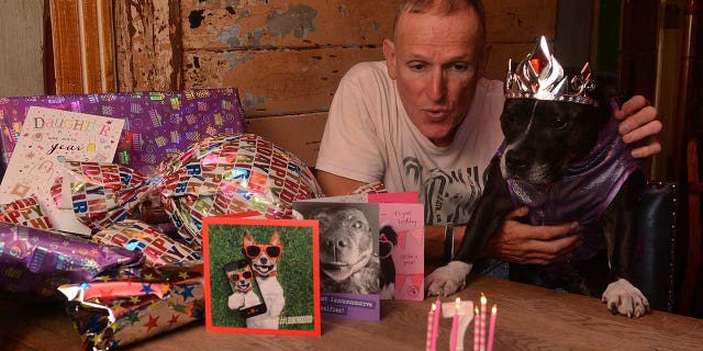 Welsh’s obsession began when he rescued Cleo from being locked in a cage when she was just a year old.