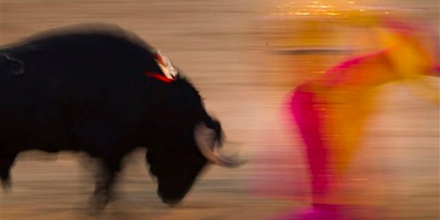 File - In this Aug. 15, 2010 file photo, Spanish bullfighter Victor Puerto performs during a bullfight at the Las Ventas Bullring in Madrid. Spain's state TV will start airing live bullfights again on Sept. 5, 2012 after the new conservative government lifted a six-year ban on the tradition that has been hard hit by declining popularity and the economic crisis. It's a big victory for pro-bullfighting forces who saw fights prohibited this year in the northeastern region of Catalonia. And it's a defeat for animal rights activists who denounce bullfighting as barbaric. The live transmissions were halted in 2006 by Spain's previous Socialist administration, which said they were costly and coincided with youth TV viewing hours. (AP Photo/Daniel Ochoa de Olza, File)