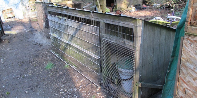 The animals were living in mud and feces-ridden conditions.