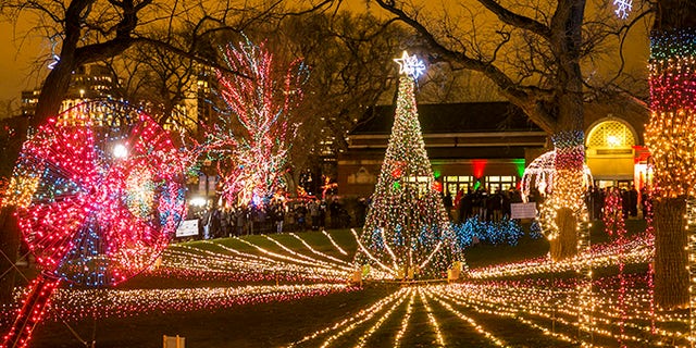 12/20/15 8:43:30 PM -- Chicago, IL, USALincoln Park Zoo LightsÂ© Todd Rosenberg Photography 2015