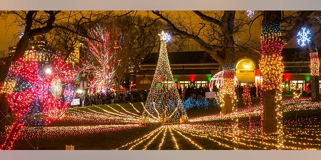 12/20/15 8:43:30 PM -- Chicago, IL, USA
Lincoln Park Zoo Lights
© Todd Rosenberg Photography 2015