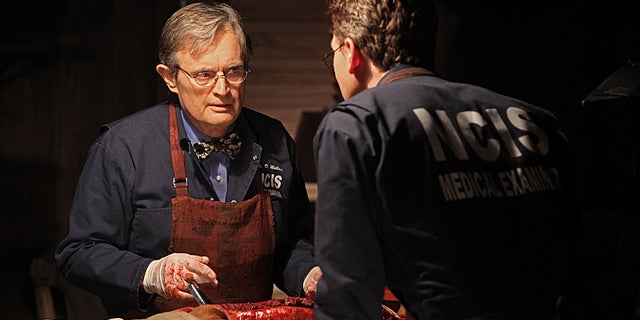 More Than A Decade Later Sterling Kbrowns Ncis Memories Still Haunt Him - 5rk0nj8