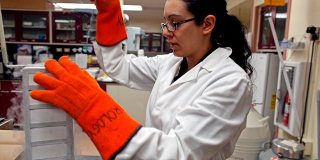 MADISON, WI - MARCH 10: Jessica Dias, associate research specialist, at the Wisconsin National Primate Research Center at University Wisconsin-Madison removes a new batch of Embryonic Stem Cells from deep freeze to be thawed before being worked on March 10, 2009 in Madison, Wisconsin. On March 9, 2009 President Barack Obama signed an order reversing the Bush administration's limits on human embryonic stem cell research. Scientists at the University Wisconsin-Madison, who were the first to experiment in finding cures to neurological and muscular diseases through stem cell research, are now hoping to receive federal funding to aid in their work. (Photo by Darren Hauck/Getty Images)