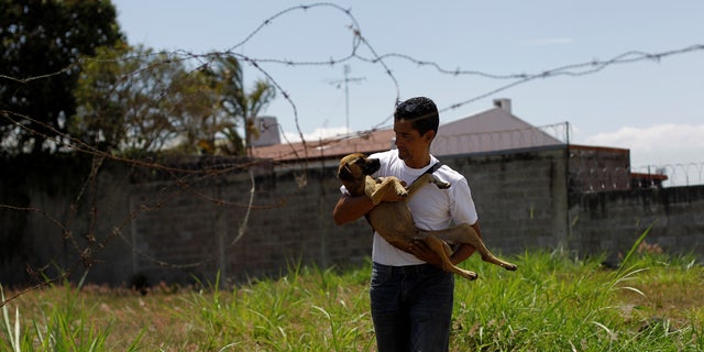 Alvaro Saumet rescues a stray dog in San Jose, Costa Rica, April 22, 2016.