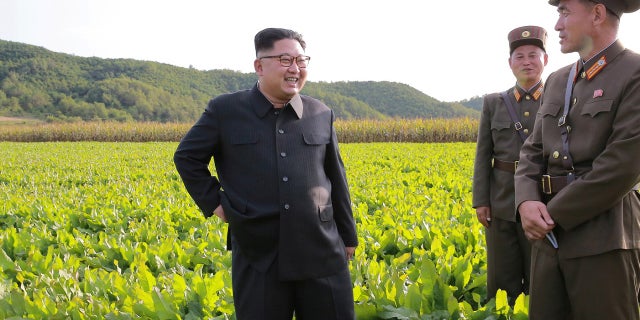 2eaaa3ff-NORTHKOREA-MISSILES/