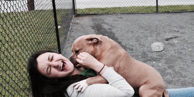 The sweet dog is in need of a forever home.